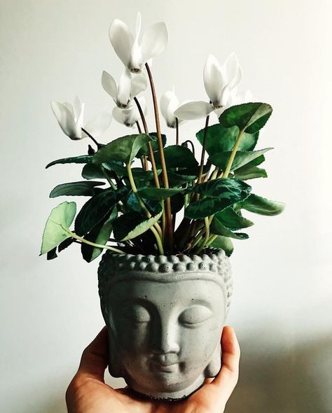 Buddha flower pot concrete vase Buddha Plant Pot, Buddha Planter Ideas, Buddha Pottery, Buddha Planter, Clay Buddha, Buddha Flower, Peaceful Soul, Acre Garden, Buddha Home Decor