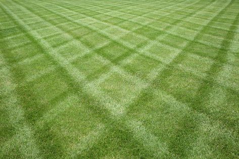 Mowed Lawn, Lawn Striping, Sod Installation, Diy Landscape, Lawn Mowing, Aerate Lawn, Lawn Fertilizer, Grass Pattern, Landscape Maintenance