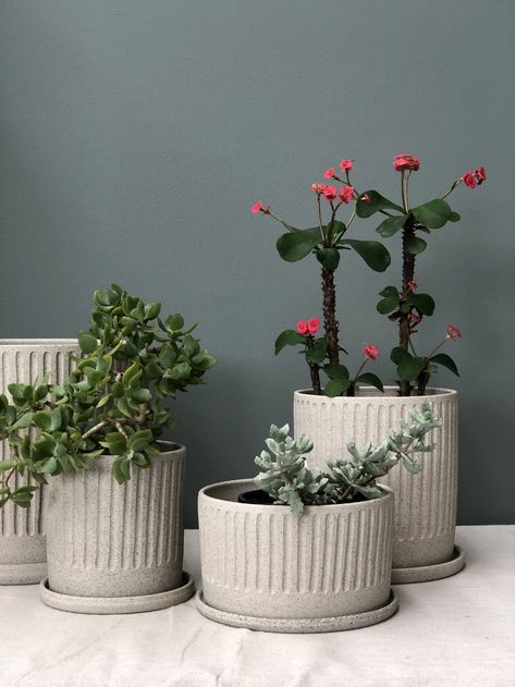 Seeking hand made in Melbourne ceramics? Arcadia Scott Ceramics focuses on creating beautiful, functional travel cups and planters. Pottery from Brunswick. Fluted Planter, Pottery Plant Pots, Pottery Plant Pot, Handmade Ceramic Planters, Pottery Pots, Handmade Planter, Pottery Pot, Cerámica Ideas, Pottery Workshop