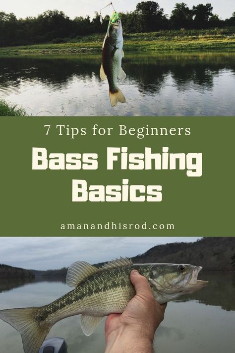 Largemouth Bass Fishing, Fishing Basics, Fishing 101, Fishing For Beginners, Fly Fishing Tips, Bass Fishing Lures, Bass Fishing Tips, Fishing Techniques, Crappie Fishing