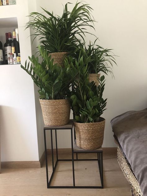 Plant Decor Living Room, Houseplants Decor, Patio Table Decor, Wallpaper Design For Bedroom, Plant Decor Indoor, House Plants Decor, House Plants Indoor, Decor Minimalist, Living Room Decor Apartment