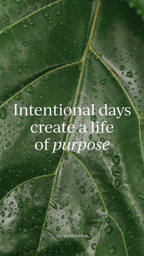 Live with intention ✨ Intentional Quotes Inspiration, Living With Intention, Claire Aesthetic, Az Quotes, Intention Quotes, Tea Magic, Daily Intentions, Live With Intention, Rainbow Library