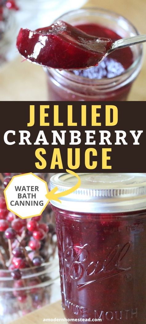 Dehydrated Jellied Cranberry Sauce, Cranberry Rum Sauce, Homemade Cranberry Sauce Jellied, Diy Jellied Cranberry Sauce, Cranberry Sauce Recipe For Canning, Homemade Cranberry Jelly, Cranberry Jelly Sauce, Homemade Jelly Cranberry Sauce, Cranberry Grape Jelly