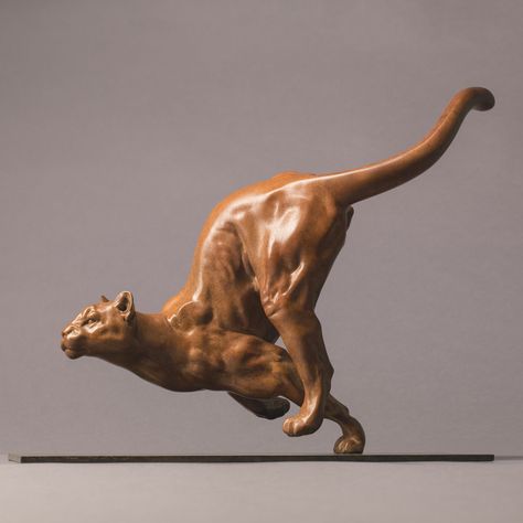 Sculpture Jewelry, Bronze Sculpture Animal, Animal Anatomy, Mountain Lion, Animal Sculpture, Wood Carving Art, Figurative Sculpture, Sculpture Clay, Sculptures & Statues