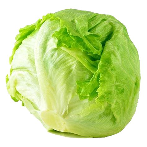 Types Of Lettuce, Photo Clipart, Bread Salad, Still Life Fruit, Iceberg Lettuce, Garden Salad, Food Lion, Tuna Salad, Greek Salad