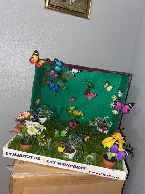 Butterfly Habitat Project Kids, Butterfly Model School Project, Insect Diorama, Butterfly Diorama, Diy Crochet Hair Accessories, Bee Habitat, Diorama Kids, Insect Box, Habitats Projects