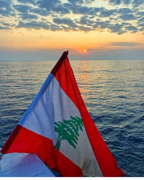 😎 What's Up Lebanon 😎 | Lebanon belongs to the Lebanese people and these are the people who will choose a better future Lebanon... MAKE LEBANON GREAT… | Instagram Lebanese Flag, Lebanon Flag, Summer Boat, Nature Summer, Better Future, Beirut, The Republic, Lebanon, Beautiful Destinations