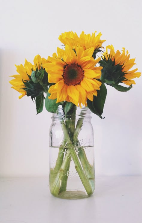 Sunflowers In Mason Jars, Sunflower In Mason Jar, Sunflower In Vase, Sunflower Mason Jar, Pixel Wallpaper, Flower Sunflower, Sunflower Pictures, Sun Flowers, Sunflower Wallpaper