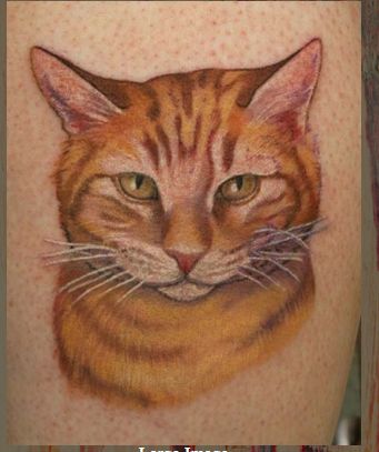 cat Cat Portrait Tattoo, Tattoo Gato, Cat Portrait Tattoos, Map Tattoo, Cat Tatto, Remembrance Tattoos, Cat Tattoos, Cat Tattoo Designs, Memorial Tattoo