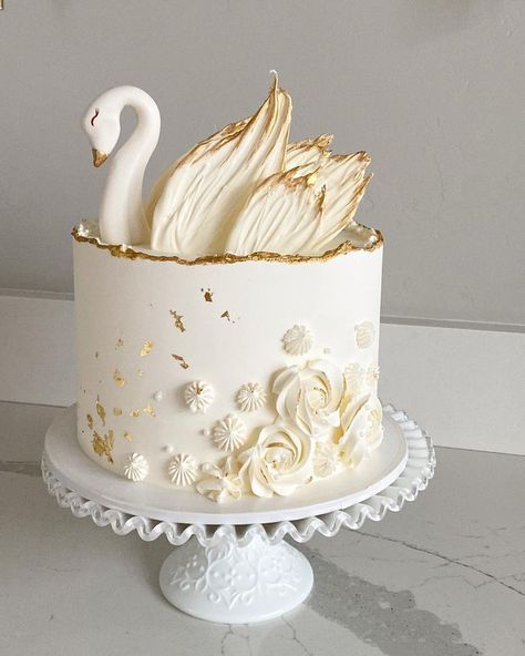 All Posts • Instagram White Cake Ideas Birthdays, Swan Birthday Cake, White Buttercream Cake, Swimming Cake, Birth Cakes, Swan Cake, Starbucks Cake, Designer Cake, White Birthday Cakes