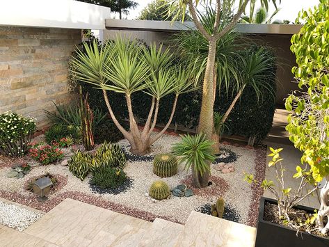 Dry Garden Landscaping, Dry Garden Ideas, Desert Garden Design, Desert Garden Ideas, Desert Landscaping Ideas, Desert Plants Landscaping, Arizona Backyard Landscaping, Desert Landscaping Backyard, Desert Landscape Design