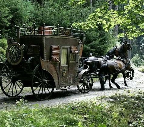 Steampunk Vehicle, Steampunk Gadgets, Steampunk Items, Horse Drawn Carriage, Mode Steampunk, Design Dragon, Steampunk Tendencies, Arte Steampunk, Last Ride