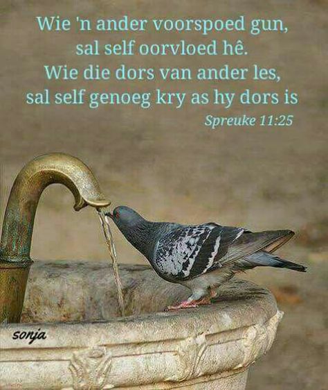 Wie ’n ander voorspoed gun, sal self oorvloed hê. Wie die dors van ander les, sal self genoeg kry as hy dors is | Spreuke 11:25 | Inspirasie vir tuisskool Positiewe Denke, Branham Quotes, Motivational Bible Quotes, Christelike Boodskappe, Bible Pics, Woord Van God, Bybel Verse, Bible Verses For Women, Inspirational Qoutes