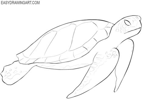 How to Draw a Sea Turtle - Easy Drawing Art Sea Turtle Cartoon Drawing, Iguanas, Turtles Drawing Easy, Turtle Drawings Easy, Beach Animals Drawing, Turtle Sketch Pencil Drawings, Cute Turtle Drawing Easy, How To Draw A Sea Turtle, Sea Turtle Drawing Sketches