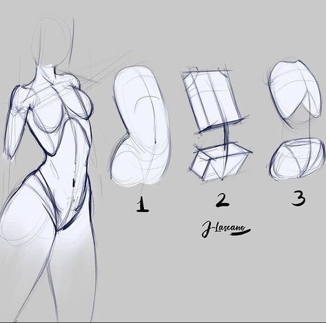 Understanding Anatomy, Perspective Studies, Female Anatomy Reference, Human Body Drawing, Drawing Female Body, Body Construction, Human Anatomy Drawing, Body Sketches, Body Drawing Tutorial