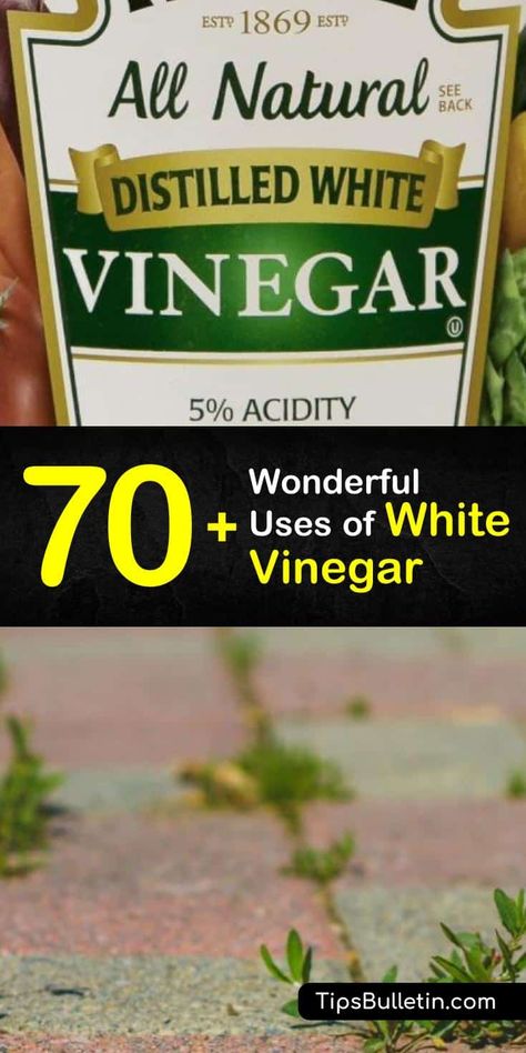 Benefits Of White Vinegar, White Vinegar In Laundry, White Vinegar Uses, Vinegar For Weeds, Vinegar Hacks, Uses For White Vinegar, Vinegar In Laundry, Overcome Laziness, White Vinegar Cleaning