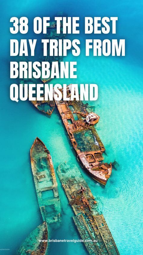 Discover the best day trips from Brisbane Queensland, perfect for nature lovers and adventurers. From stunning beaches to national parks, this guide covers all the must-see spots near Brisbane. Click to read more! Brisbane Travel, Gold Coast Theme Parks, Stradbroke Island, Brisbane Queensland, Australian Wildlife, Family Friendly Activities, Wildlife Sanctuary, Thrill Ride, Travel Time