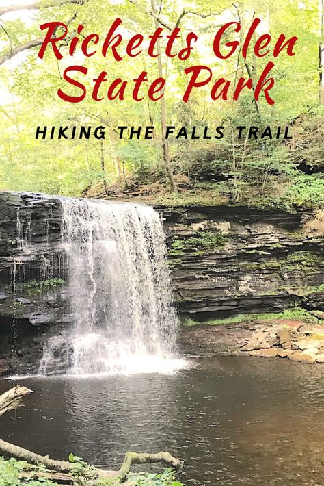 Ricketts Glen State Park Hiking, Ricketts Glen State Park, Ricketts Glen, Road Travel, Fit Body, Yacht Club, Camping Trip, Camping Trips, State Park