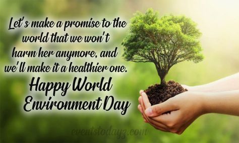 Happy Environment Day Quotes, Slogans & Messages With Images World Environment Day Quotes, Environment Day Quotes, Happy Environment Day, Happy World Environment Day, Happy Environment, Save Environment, Protect Nature, Green Environment, One Small Step