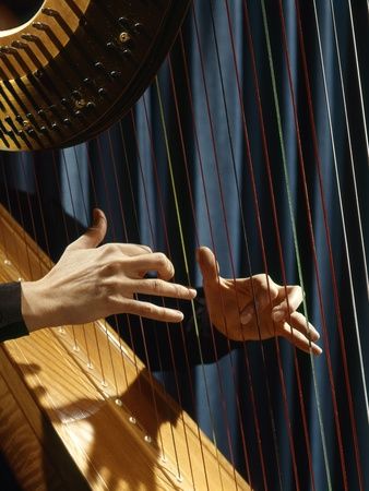 Music Instruments Aesthetic, Choir Poster, Harp Playing, Harp Art, Hand Studies, Art School Portfolio, Piano Hands, Playing Instrument, Piano Photo