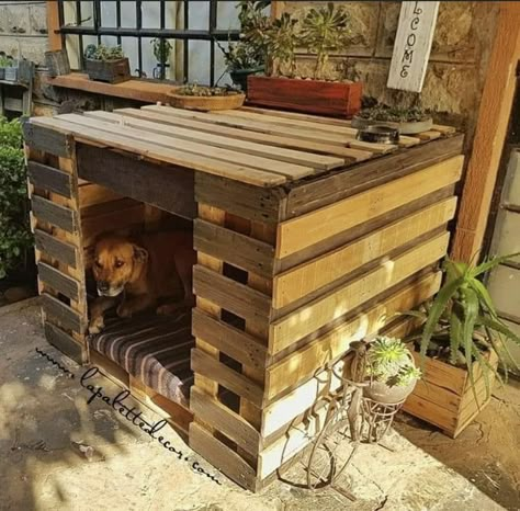 Homemade Dog House, Easy Dog House, Diy Dog Run, Backyard Dog Area, Pallet Dog House, Dog Backyard, Dogs House, Puppy Room, Dog House Plans