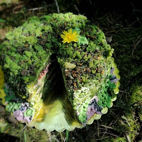 Moss Cake, Nature Cake, Growing Organic Vegetables, Realistic Cakes, Foraged Food, Wild Food, Vegan Cake, Wedding Cake Designs, Organic Vegetables