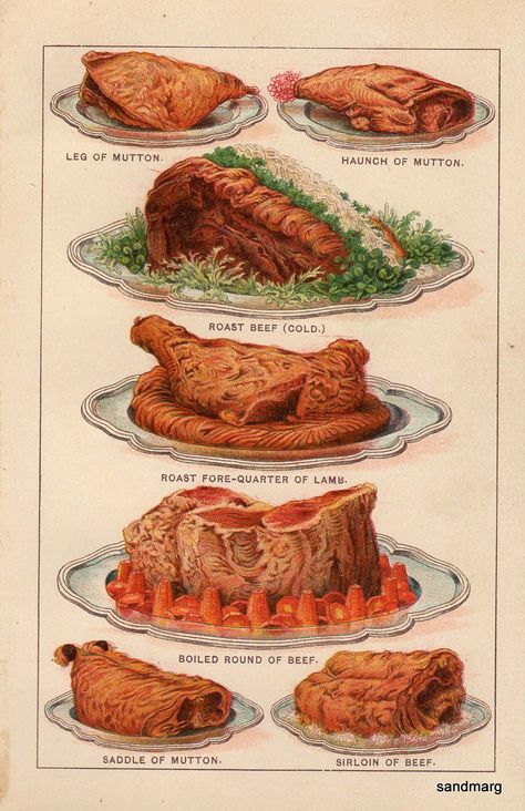 Mrs Beeton's Cookery Book - 1901 Ed. - Chart of Mutton Lamb  and Beef Dishes Victorian Food, Victorian Recipes, Household Management, Food Illustration Art, Vintage Cooking, Vintage Food, Cookery Books, Cute Food Art, Food History