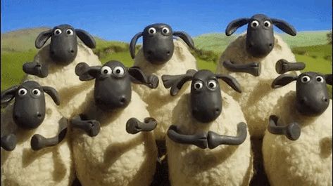 Happy Birthday GIF Applause Gif, Clapping Gif, Funny Happy Birthday Gif, Ok Gif, Beste Gif, Animiertes Gif, Aardman Animations, Shaun The Sheep, Funny Happy Birthday