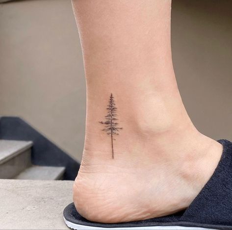 Minimalist Evergreen Tree Tattoo, Small Redwood Tree Tattoo Simple, Pine Tree Tattoo Forearm Women, Fineline Pine Tree Tattoo, Tree On Ankle Tattoo, Fine Line Redwood Tree Tattoo, Ankle Tree Tattoos For Women, Small Evergreen Tattoo, Tiny Tree Tattoos For Women