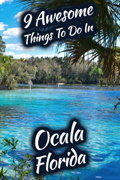 Apopka Florida Things To Do, Things To Do In Ocala Florida, Ocala Florida Things To Do, Things To Do In Florida, The Villages Florida Things To Do, Best Road Trips From Florida, Florida Camping Spots, Siesta Key Florida Things To Do Kids, Leesburg Florida