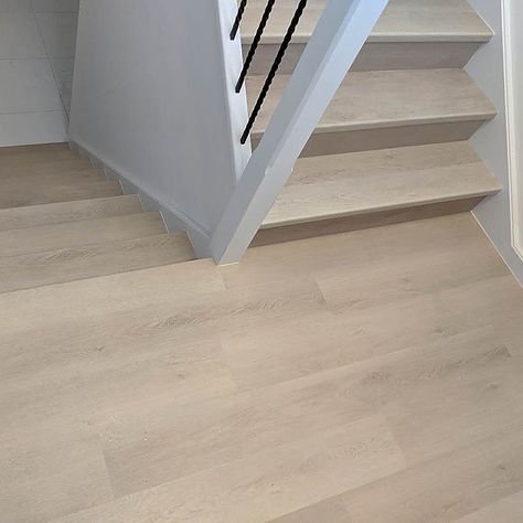 Ivy | Hybrid Flooring | Proline Floors Australia Hybrid Flooring Australia Colours, Floor Boards Ideas Colour, Hybrid Flooring Australia, Vinal Plank Flooring, Floating Floorboards, Hybrid Flooring, Main Bathroom Ideas, Floor Boards, Floating Floor