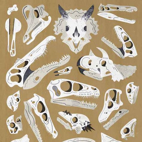 Dinosaur Skull Illustration, Dinosaur Bones Illustration, Dinosaur Moodboard, Paleontology Illustration, Dinosaurus Art, First Class Degree, Fossil Art, Dinosaur Skull, De Montfort University