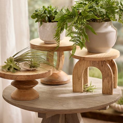 Crafted by hand from unglazed wood, this petite plant stand pairs a natural woodgrain finish with a modern silhouette.-Wood-Indoor use only-Spot clean as needed-Handmade; variance in appearance may occur-Imported7.75"H, 9.75" diameter at top Wood Plant Stands Indoor, Natural Wood And Plants Decor, Small Plant Stand Ideas, Spindle Plant Stand, Table Top Plant Stand, Plant Styling Indoor, Small Wood Shelves, Wooden Plant Stands Indoor Diy, Plant Pedestal Indoor