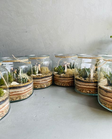 Desert Terrarium Ideas, Desert Terrarium, Candle Jar Terrarium, Terrarium Desert, Mini Glass Terrarium, Terrarium Shop, Tiny Jar Terrarium, Terrarium Workshop, Succulents In Glass