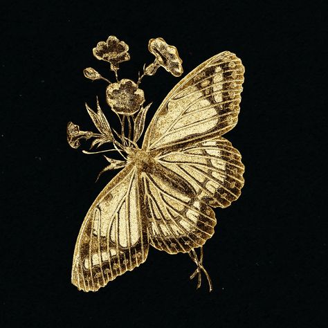 Black And White Gold Aesthetic, Black And Gold Aesthetic Vintage, Gold Elements Design, Gold Butterfly Aesthetic, Gold Aesthetic Pictures, Vintage Gold Aesthetic, Dark Gold Aesthetic, Indian Moodboard, Gold Vintage Aesthetic