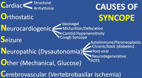 Medical Hacks, Autonomic Dysfunction, Complex Migraine, Neurocardiogenic Syncope, Dysautonomia Pots, Crps Awareness, Anatomy Poster, Study Stuff, Medical School Life