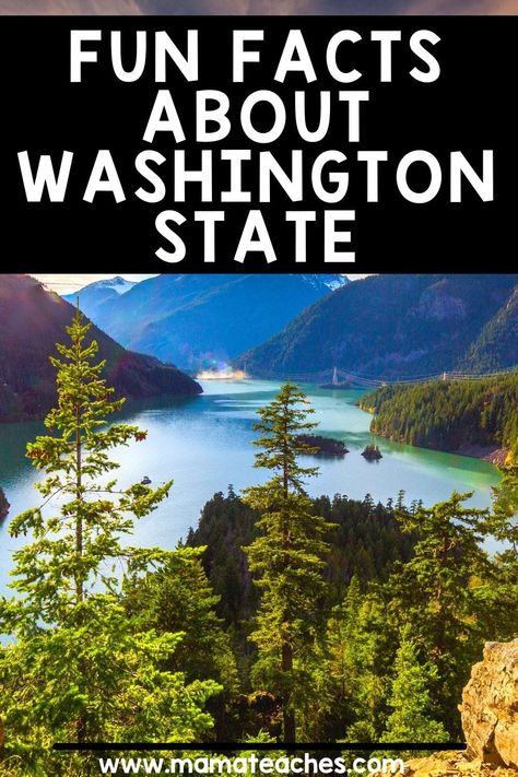 2024 Bujo, Washington State History, Sugar Addict, State Crafts, March Activities, Homeschool Lessons, American States, Wa State, History Videos