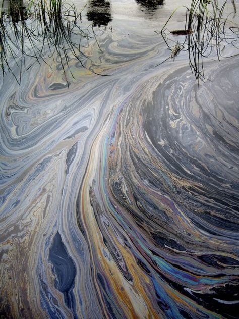 Helen Brandt Vhs Film, Oil Pollution, Ocean Pollution, Water Pollution, Environmental Pollution, Oil Spill, Nigeria News, A Level Art, Environmental Art