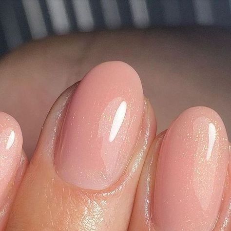 Biab Nail Trends, Biab Natural Nail Designs, Teddy Biab Nails, Biab Manicure, Spring Nail Colours 2024, The Gel Bottle Inc Nails Biab Colours, Biab Nail Colours, Biab Colours, Gel Bottle Inc Nails