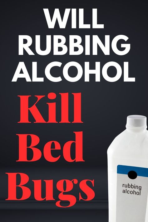 Can a common household item help eradicate these stubborn pests? Get Rid Of Bed Bugs Fast Diy, Bedbugs Removal Diy, Bed Bugs How To Get Rid Of Fast, Bed Bug Bites Remedies, Bed Bug Bites Pictures, What Kills Bed Bugs, Bedbugs Removal, Bug Bites Remedies, House Fly