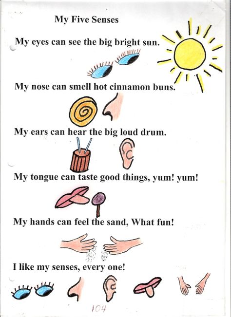 Five Senses Poem 5 Senses Poem, 5 Senses Preschool, 5 Senses Worksheet, Five Senses Worksheet, Five Senses Preschool, Infant Crafts, Preschool Poems, Ingles Kids, 5 Senses Activities