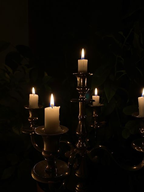 #candlelight #aesthetic #darkaesthetics #darkacademia #darkacademiaaesthetic #darkacademiastyle #plants #candles Candles In Dark Room, Dark Candles Aesthetic, Candle Asethic Dark, Goth Candles Aesthetic, Long Candles Aesthetic, Candles Dark Aesthetic, Melted Candles Aesthetic, Candle Aesthetic Cozy Dark, Dark Candle Aesthetic