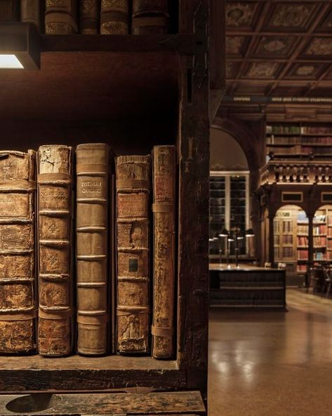 Bodleian Library (Hogwarts Library) Dive into the enchanting world of the Bodleian Library, one of Oxford’s most storied landmarks, which inspired the Hogwarts Library in the Harry Potter films. 📚✨ As one of the oldest libraries in Europe, the Bodleian offers a magical experience for book lovers and Potter fans alike. 🌟🏛️ Introduction to the Bodleian Library Established in 1602, the Bodleian Library is a treasure trove of historical and literary significance. Its grand architecture and vast... Pretty Library Aesthetic, Bodleian Library Oxford, Harry Potter Library Aesthetic, Library Hogwarts, Occult Library, Spooky Library, Harry Potter Library, Oxford Library, Grand Architecture