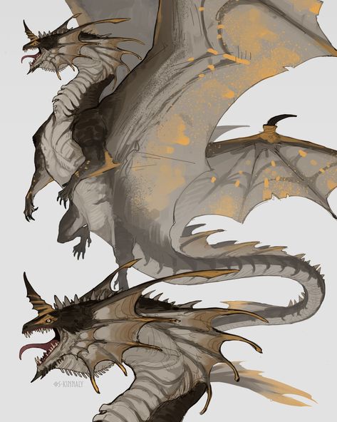 ArtStation - Wind Dragon, Sara Gilardi Wind Dragon, Dragon Poses, Dragon Anatomy, Dragon Oc, Dragon Sketch, Cool Dragons, Fantasy Beasts, Monster Concept Art, Creature Drawings