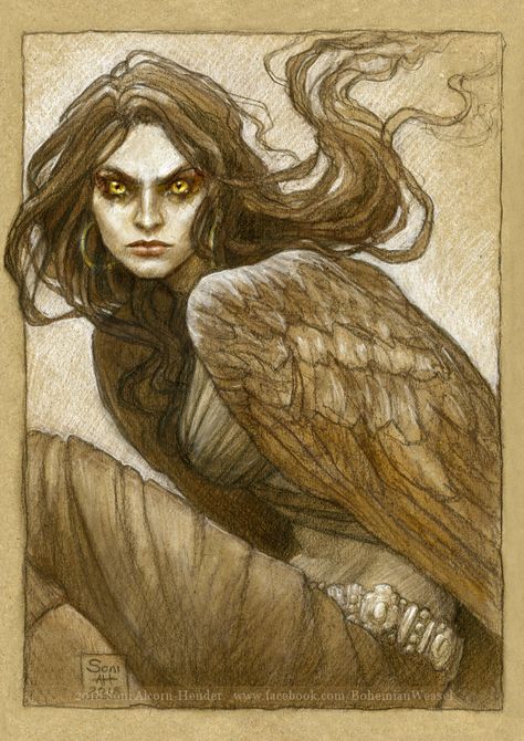 Harpy Creature, Harpy Mythology Art, Harpies Art, Harpy Character Art, Harpie Lady Tattoo, Harpy Mythology, Harpie Lady, Bird Woman Art, Owl Harpy