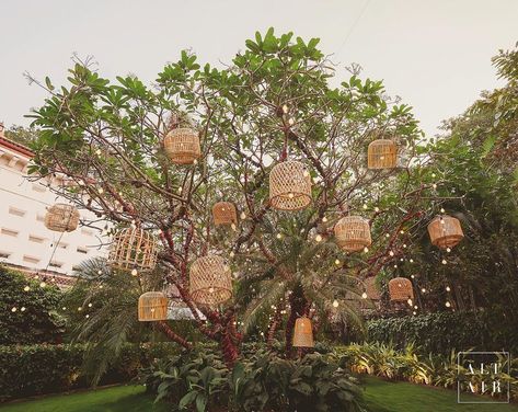 Timeless Wedding Decor, Lamps Hanging, Forest Theme Wedding, Mandap Decor, Wedding Decor Ideas, Tent Decorations, Eco Wedding, Sustainable Wedding, Eco Friendly Decor