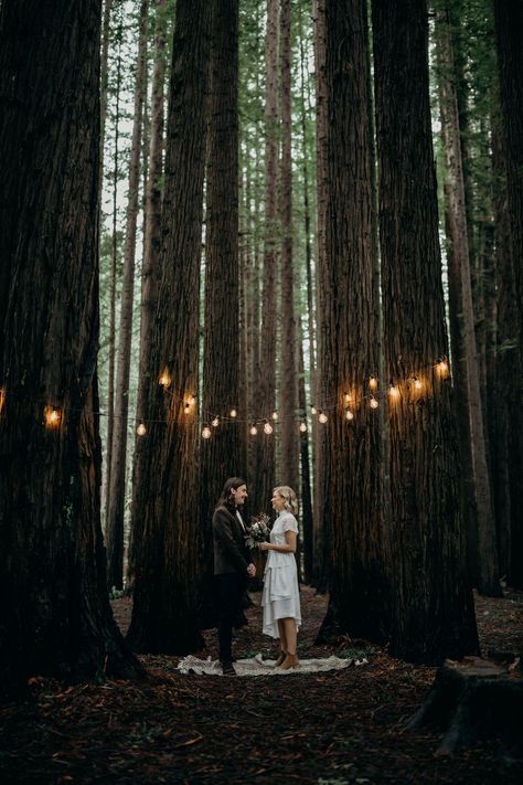 ELLEN Campsite Wedding Ideas, Forest Wedding Groom, Build A Floating Bed, Forest Theme Wedding, Floating Bed, Redwood Forest, Woodland Wedding, Wedding In The Woods, Forest Wedding