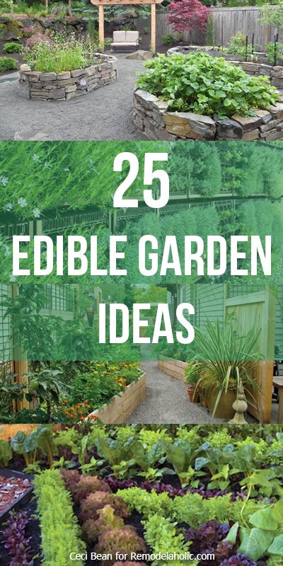 25 Edible Garden Ideas -- grow herbs and vegetables no matter the size of your yard @Remodelaholic #gardening #garden #landscaping Edible Garden Ideas, Grow Herbs, Edible Landscaping, Veg Garden, The Secret Garden, Garden Bed, Growing Herbs, Garden Layout, Veggie Garden