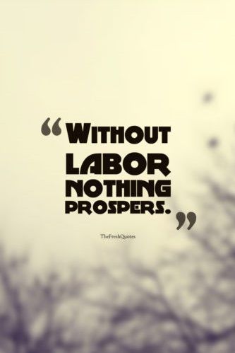 #laborday #labordayquotes #inspirationallabordayquotes #happylaborday #internationallaborday Labor Quotes, Labor Day Meaning, Happy Holidays Quotes, Labor Day Pictures, Labour Day Wishes, Status For Facebook, Morning Mantras, Labor Day Quotes, International Workers Day