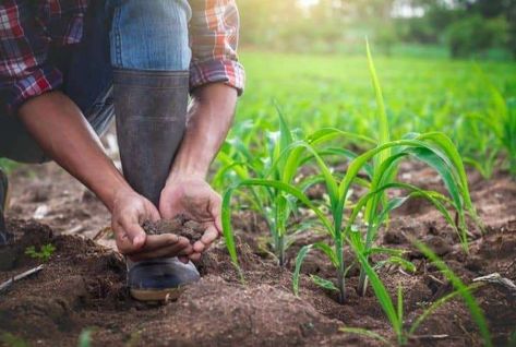 Nitrogen Fixation, Farming Technology, Precision Agriculture, Community Supported Agriculture, Carbon Sequestration, Agriculture Farming, Sustainable Agriculture, Renewable Sources Of Energy, Sustainable Farming